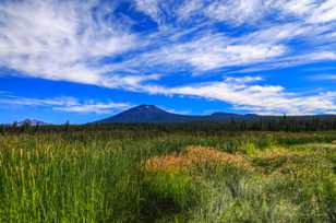 Lava Lake reeds and Mt. Bachelor-1481